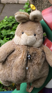 大人にもなってもやめられないこと