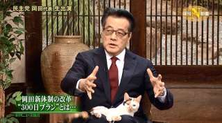 心が洗われるお話、画像ください。