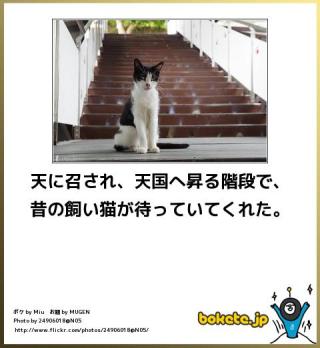 心が洗われるお話、画像ください。