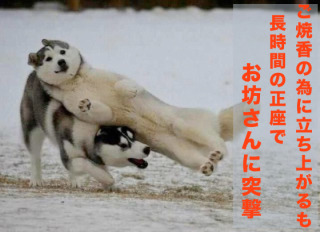 心が洗われるお話、画像ください。