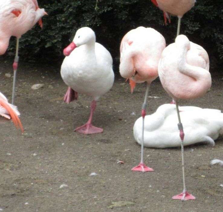 心が洗われるお話、画像ください。