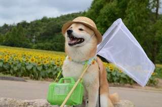心が洗われるお話、画像ください。