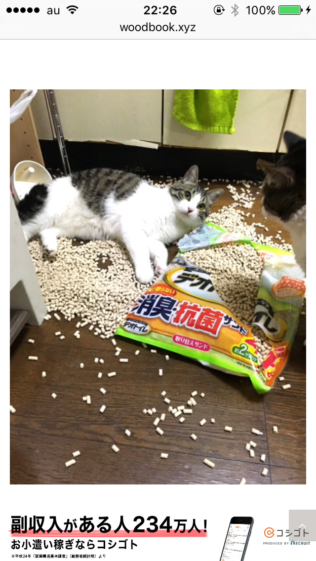 心が洗われるお話、画像ください。