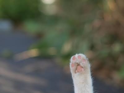 【既婚者限定】最近何にトキメキましたか？