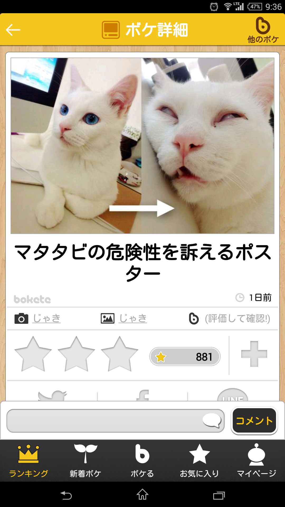 猫あるある画像