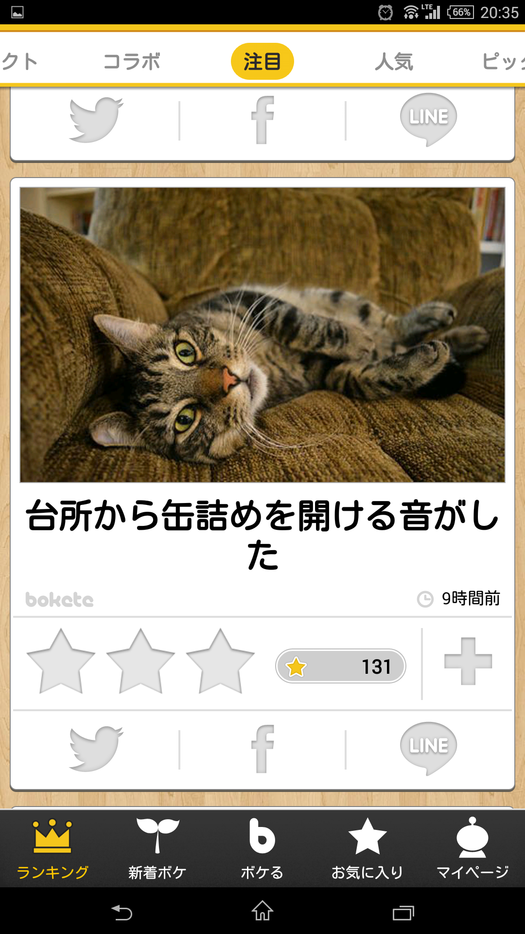 猫あるある画像