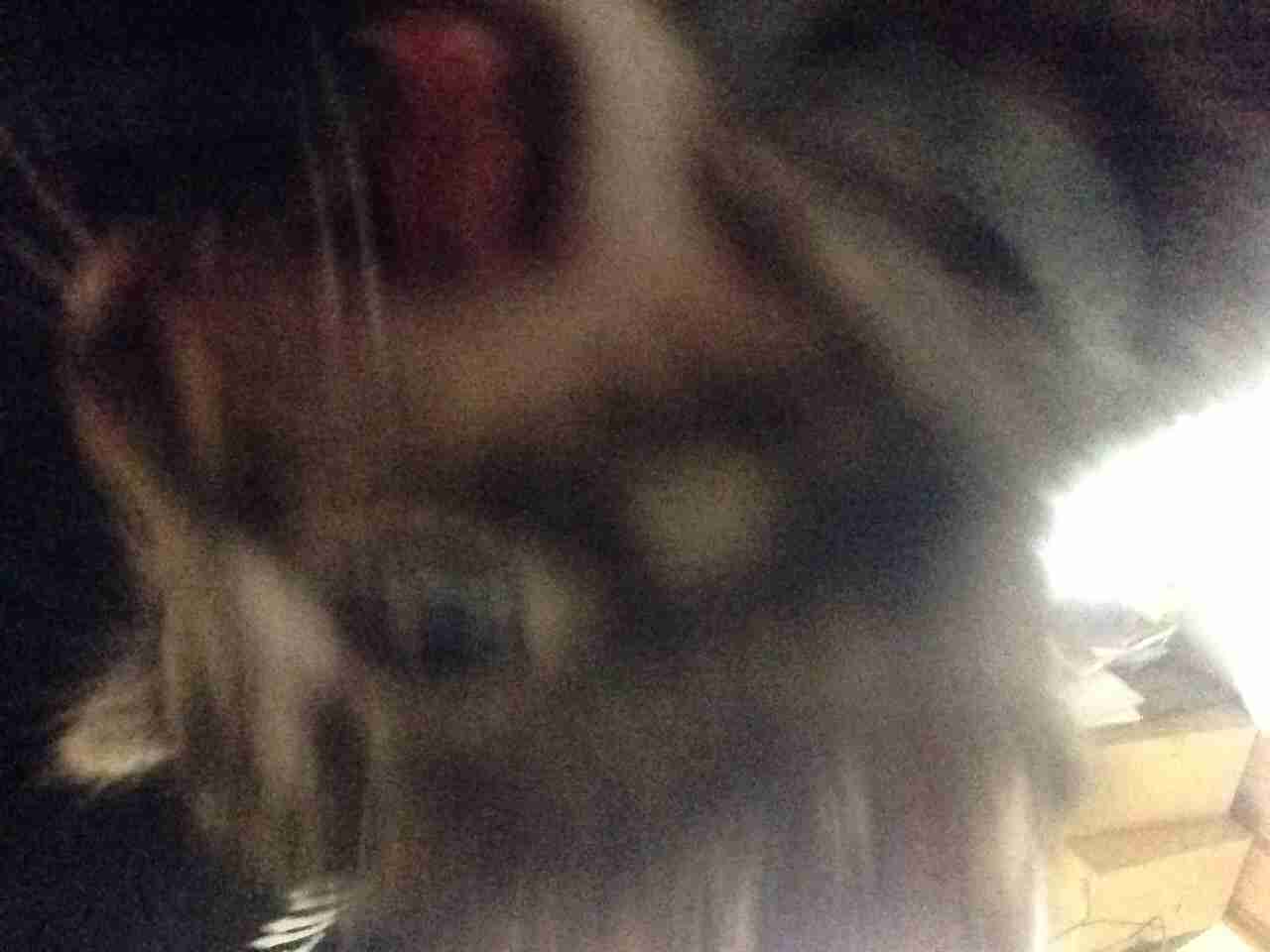 猫あるある画像