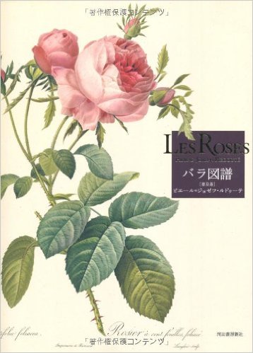 【妄想】歴史上の人物であなたが一緒に働いてみたいのは誰ですか？