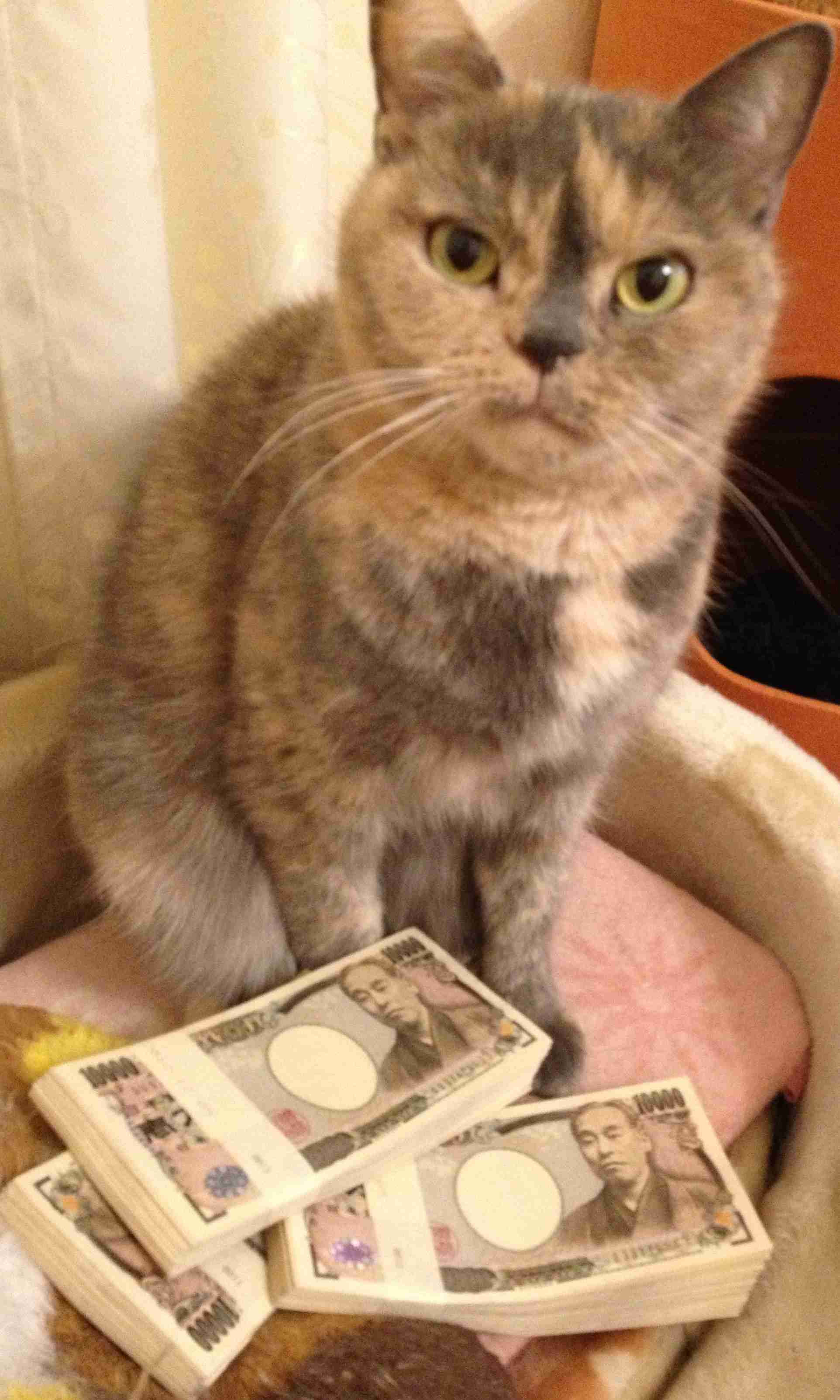 お金が好きな人