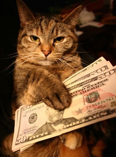お金が好きな人