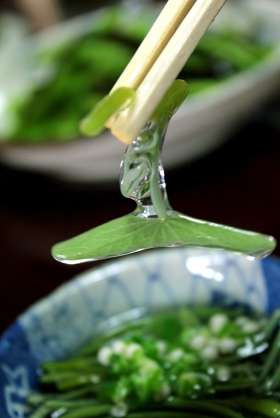 珍しい野菜
