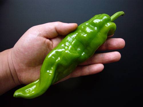 珍しい野菜
