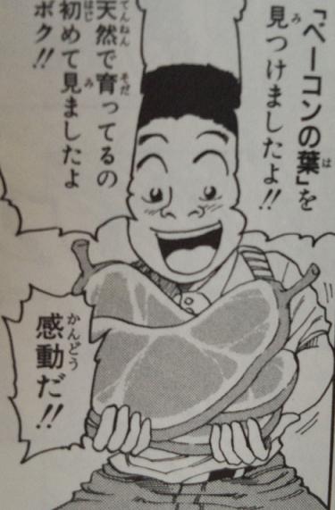 ベーコン味の海藻「ダルス」が話題！低カロ＆栄養たっぷりで美味しくダイエット