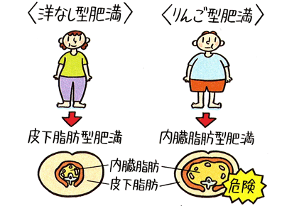 中年太り、何歳からキましたか?そして何キロ増えましたか?
