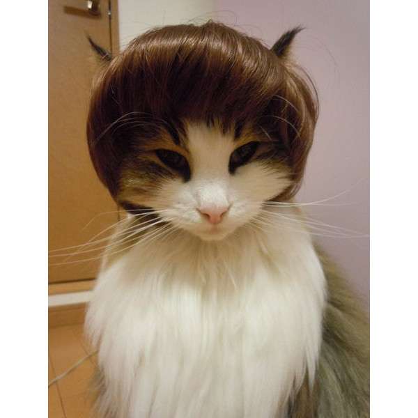 かわいいショートヘアー