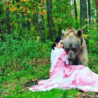 群馬サファリパークで女性従業員が熊に襲われて死亡