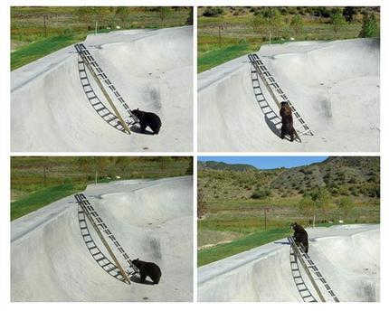 群馬サファリパークで女性従業員が熊に襲われて死亡