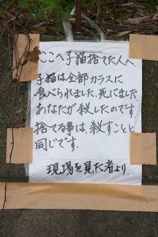 【ジャンル問わず！】お気に入りの一枚見せて！