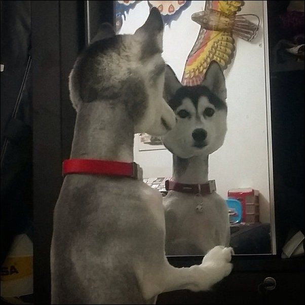 【ジャンル問わず！】お気に入りの一枚見せて！