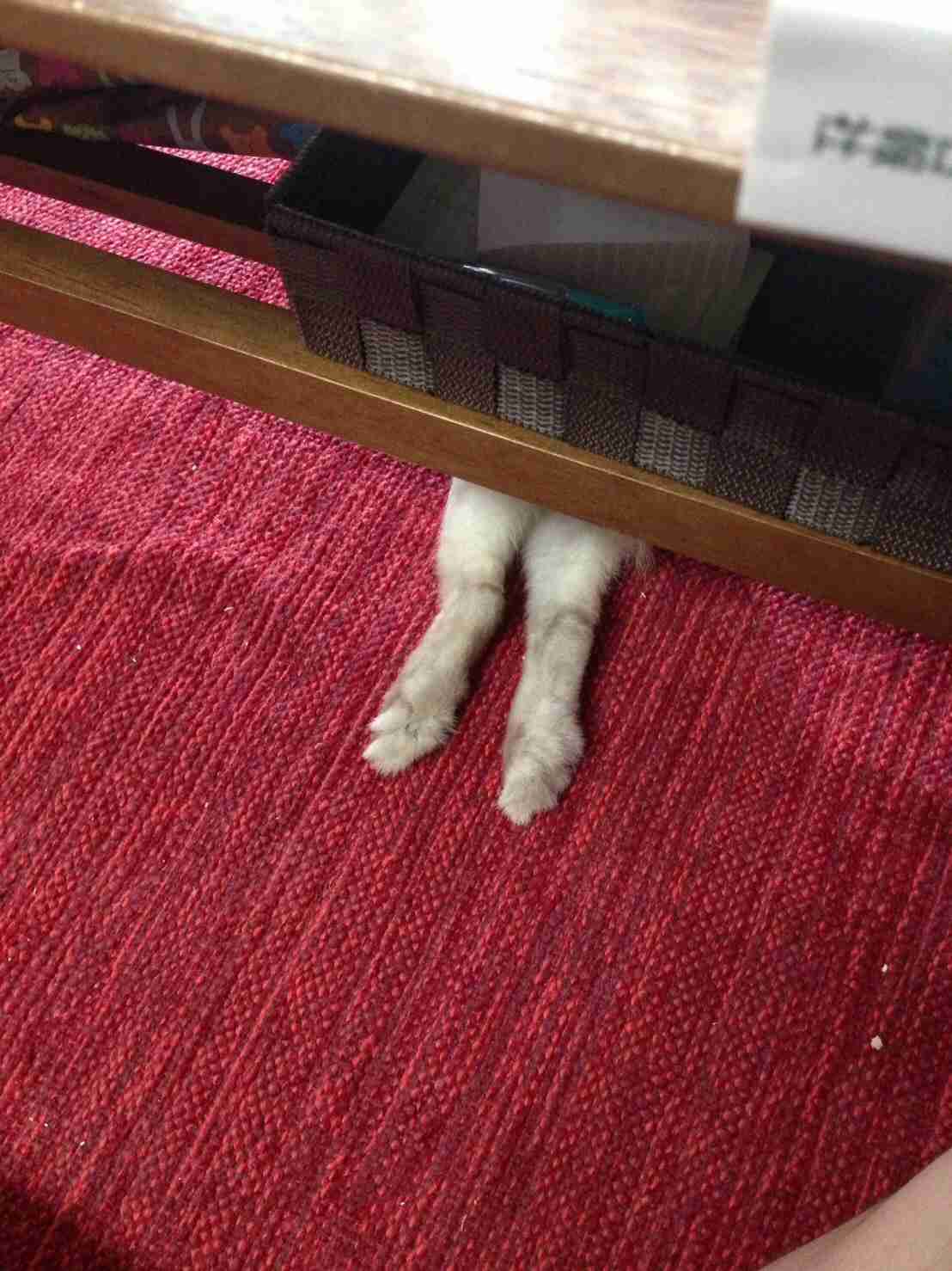 【ジャンル問わず！】お気に入りの一枚見せて！