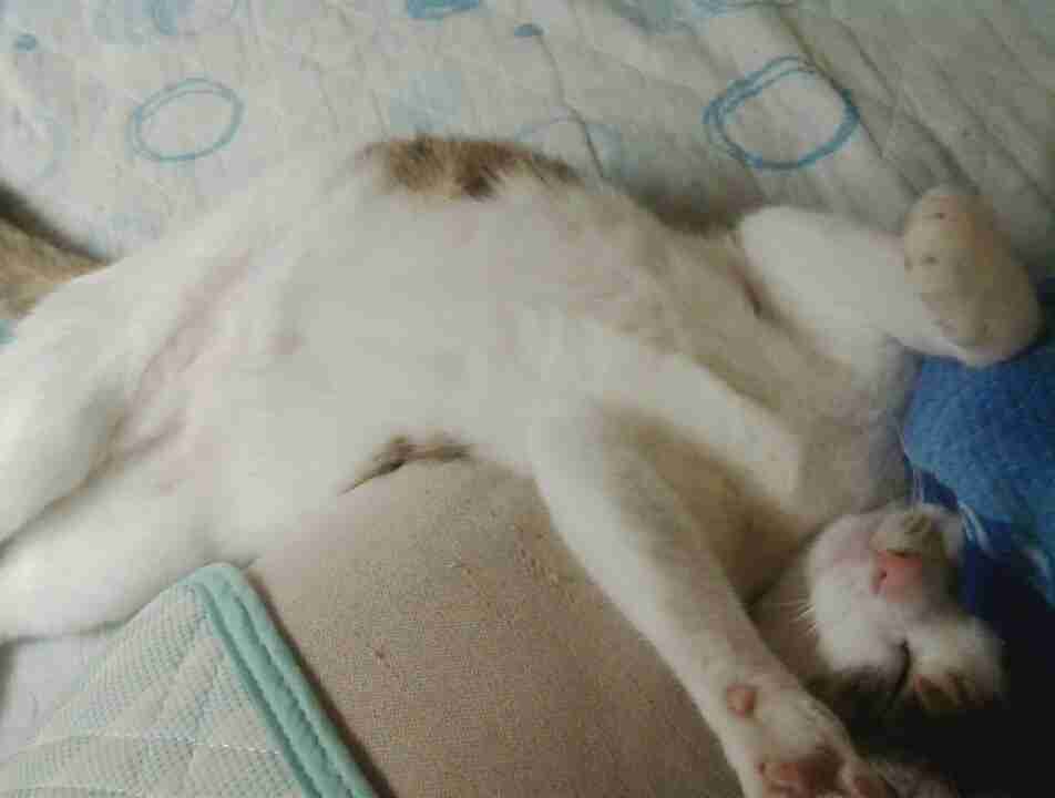 【ジャンル問わず！】お気に入りの一枚見せて！