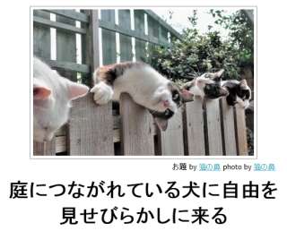 【ジャンル問わず！】お気に入りの一枚見せて！