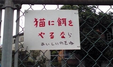 【ジャンル問わず！】お気に入りの一枚見せて！