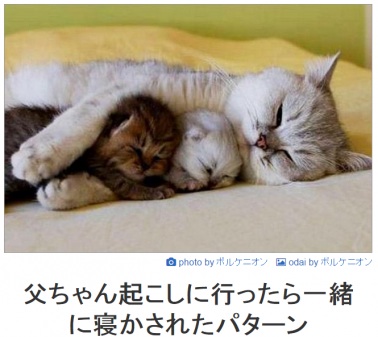 【ジャンル問わず！】お気に入りの一枚見せて！