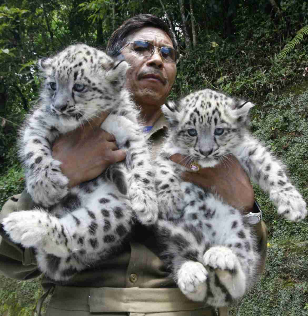 もふもふした動物達の画像を貼るトピ