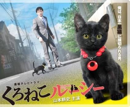 8月17日は「黒ネコ感謝の日」！