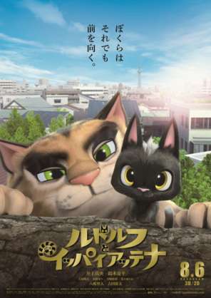 8月17日は「黒ネコ感謝の日」！