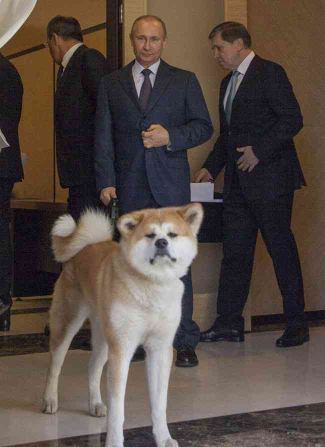 プーチンの画像を集めよう！