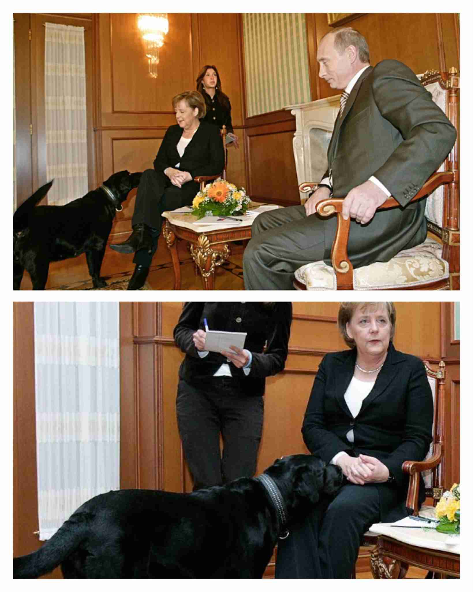 プーチンの画像を集めよう！