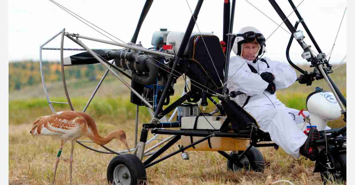 プーチンの画像を集めよう！