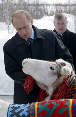 プーチンの画像を集めよう！