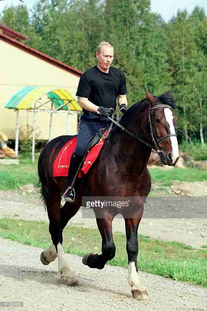 プーチンの画像を集めよう！