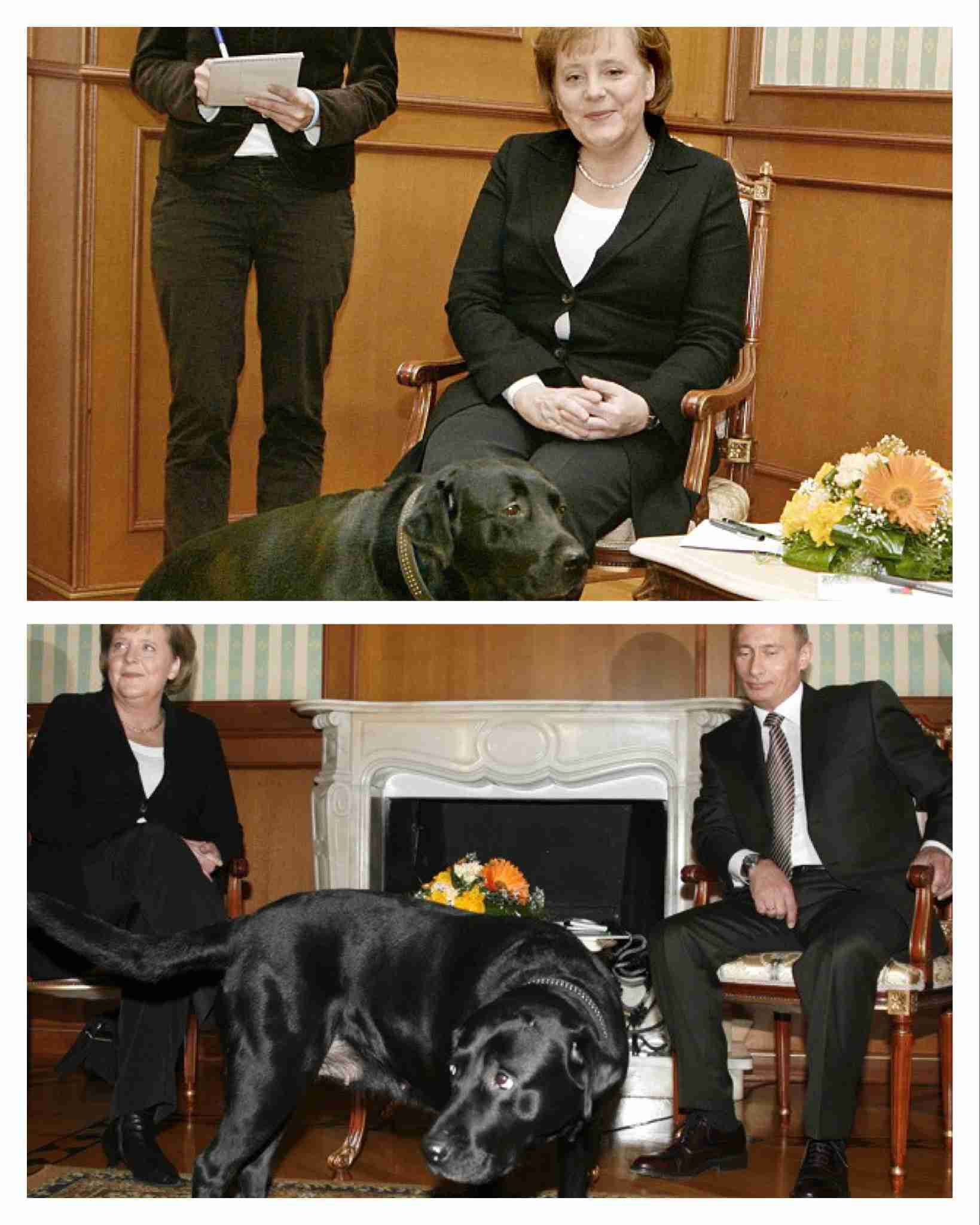 プーチンの画像を集めよう！