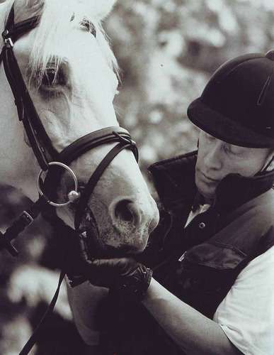 プーチンの画像を集めよう！