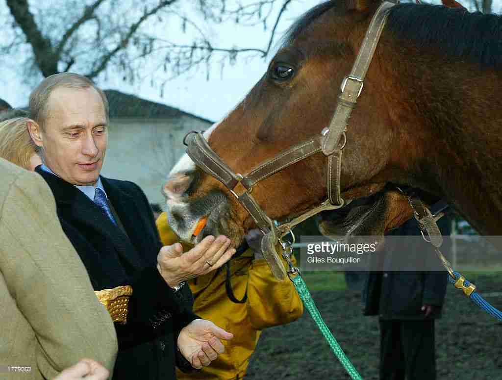 プーチンの画像を集めよう！