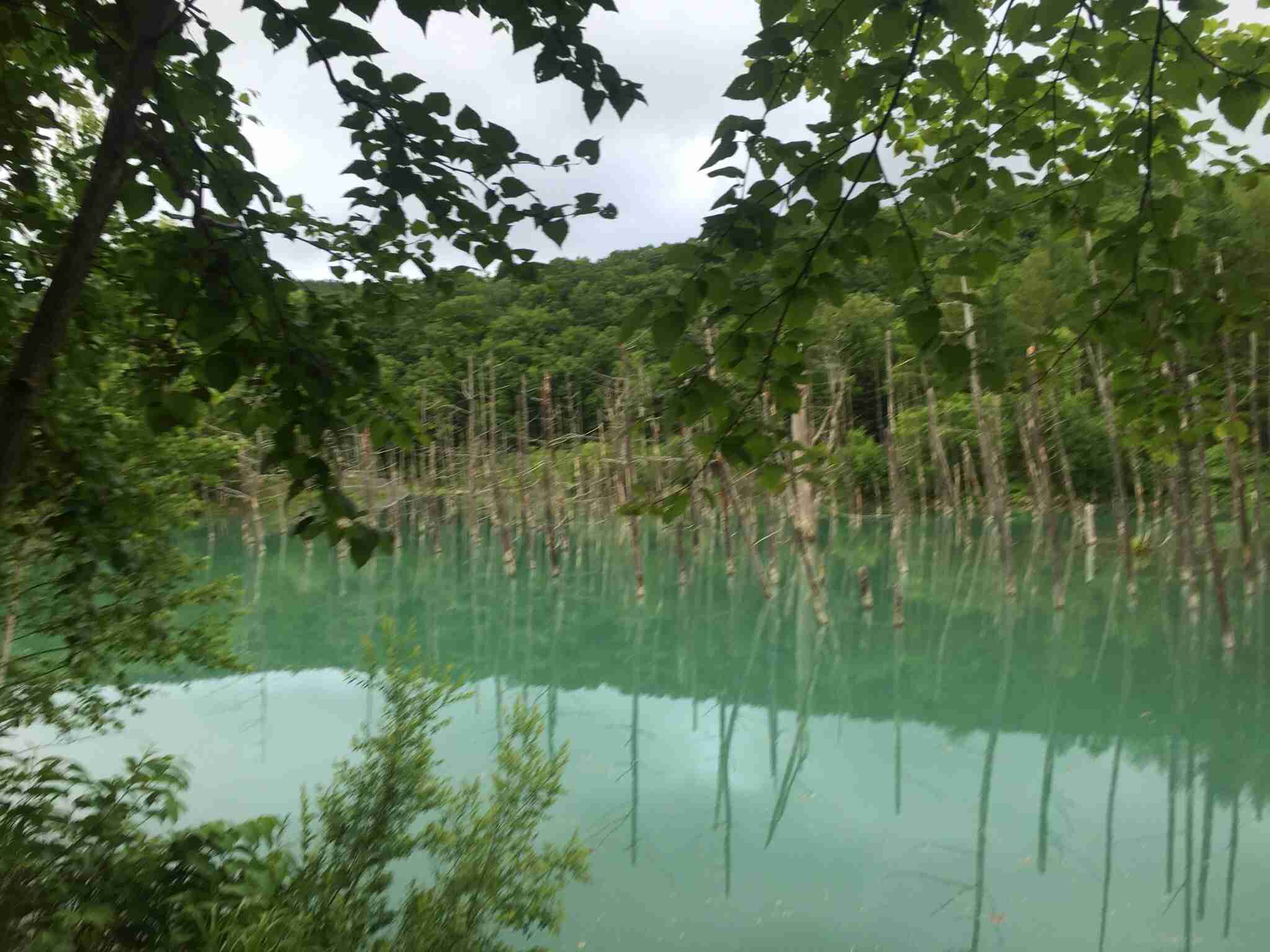 秋や冬の旅を計画中の人