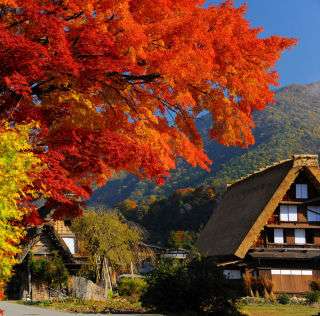 秋や冬の旅を計画中の人