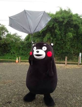 お住まいの地域の台風状況
