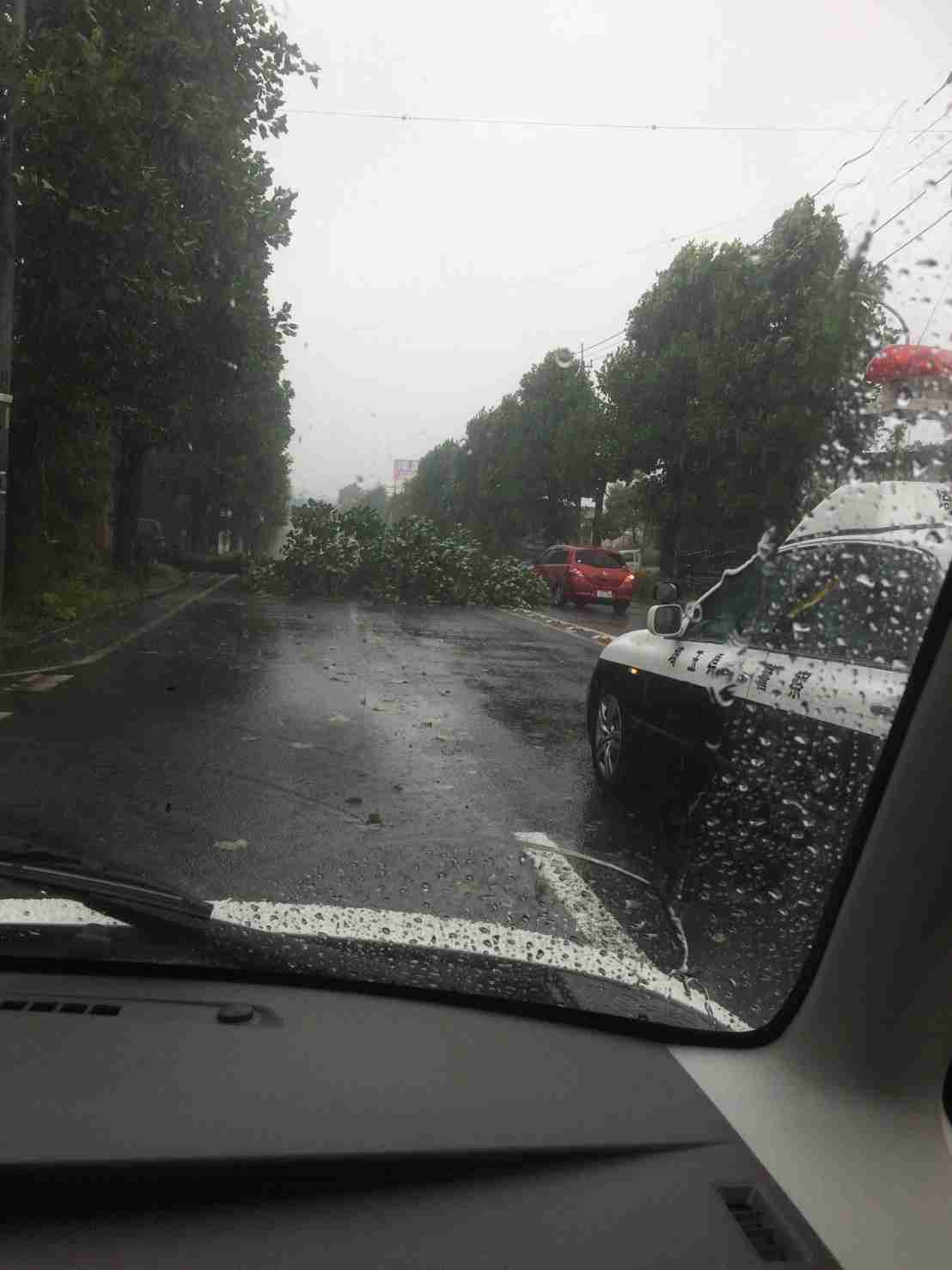お住まいの地域の台風状況