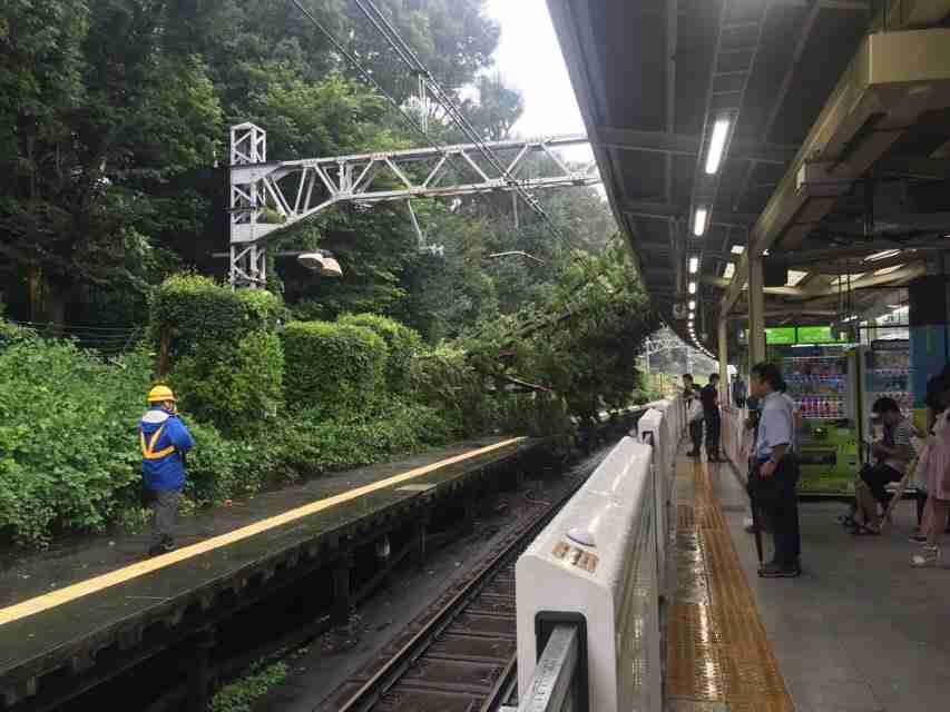 お住まいの地域の台風状況