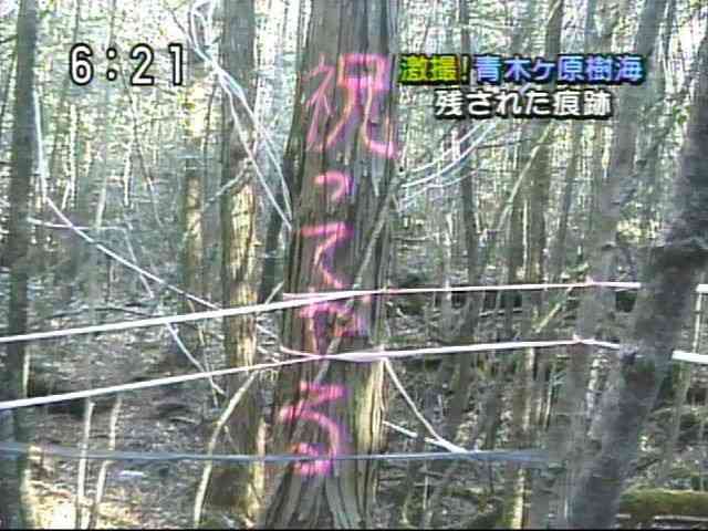 皆さんのパートナーは誕生日を祝ってくれますか？