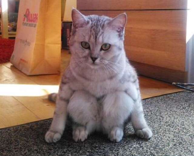よく見たらおかしい画像トピ