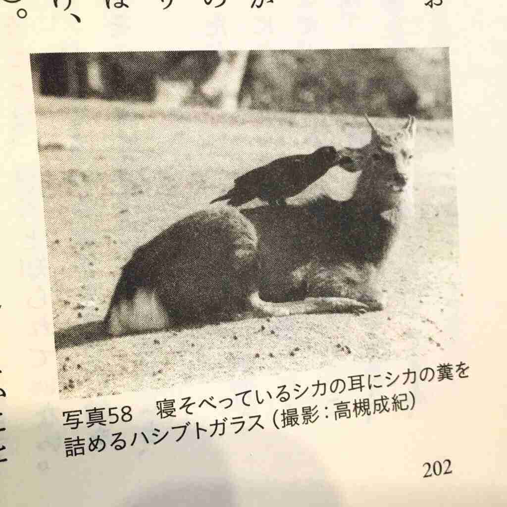 よく見たらおかしい画像トピ
