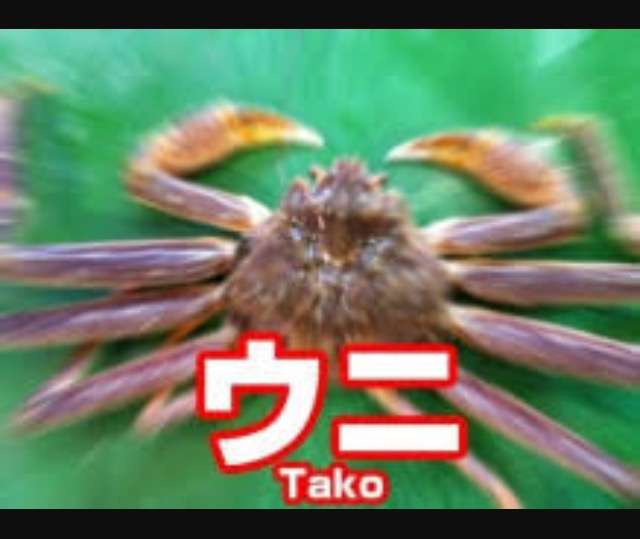 よく見たらおかしい画像トピ