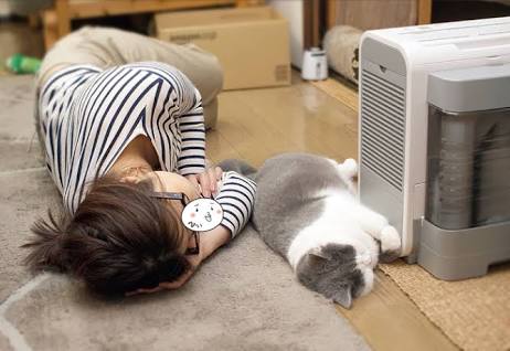 平日の夜の過ごし方