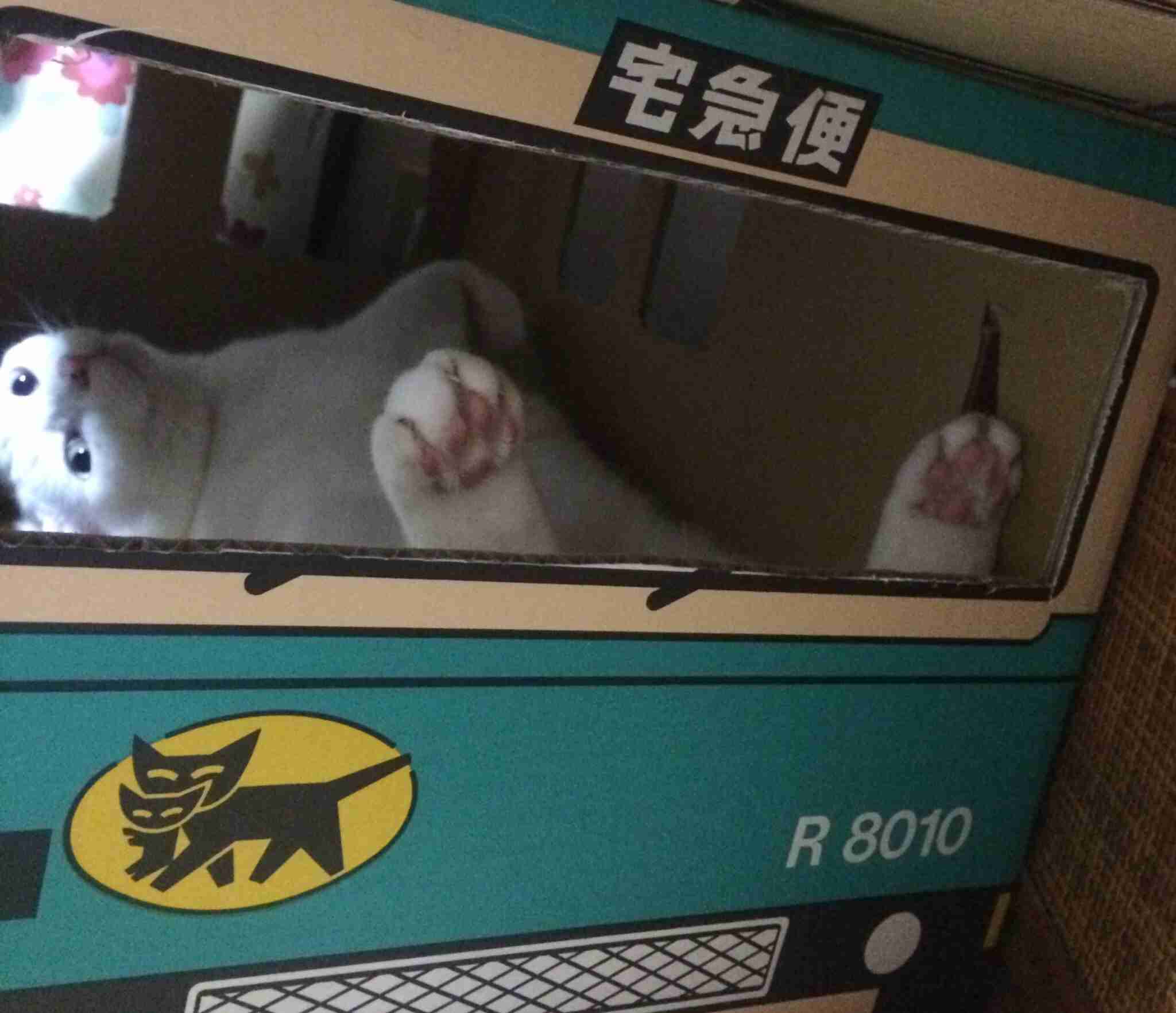 ゆるい･脱力系の画像を貼ってって～